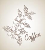 Sketch Style Coffee artwork