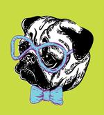 Pug with a Bow Tie