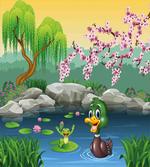 Duck and Frog in a Lake