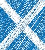 National Flag Scribbled