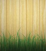 Grasses Front of Plank Look