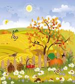 Autumn Garden Daisies