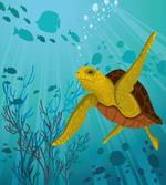 Cartoon Turtle Coral