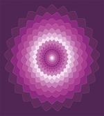 Optical Carnation