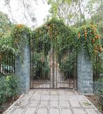 Wrought Floral Garden Gate