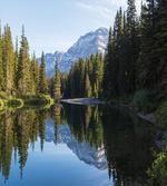 Fir Tree Reflections on Lake