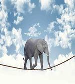 Classic Elephant Balance