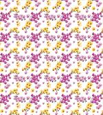 Flourishing Orchid Branches