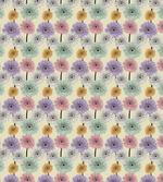 Chrysanthemum Plants