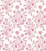 Romantic Rose Flowers