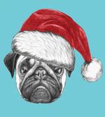 Dog with Santa Hat X-Mas