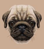 Pet Animal Art Design Dog