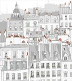 Paris Aerial Scenery