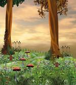 Enchanted Woods Sunset