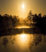 Idyllic Sunrise Morning
