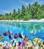 Aquatic World Maldives
