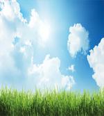 Sunny Day Grass Clouds