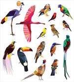 Bird Set Poly Design