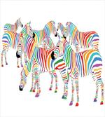 Colorful Animals