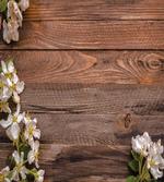 White Bloom Arrangement