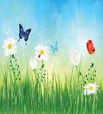 Meadow Daisies Grass