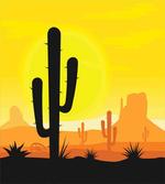 Plants in West Desert