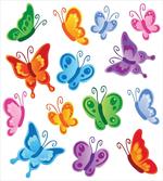 Colorful Ornate Wings