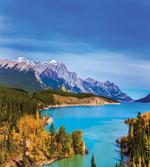 Abraham Lake Shore Photo artwork