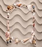 Seashell Square Frame