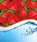 Summer Fruit and Water