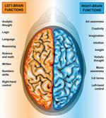 Left Right Brain