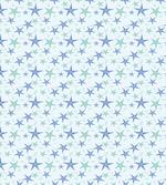 Nautical Theme Starfish