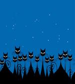 Black Cats Starry Sky