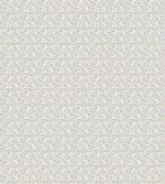 Romantic Roses in Bloom