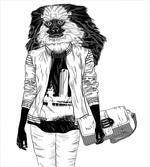 Cool Monkey