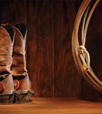 Cowboy Wild Sports