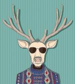 Deer with Colorful Sweater