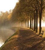 Walkway at Canal Misty