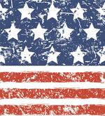 Flag with Grunge Effect