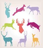 Colorful Jumping Animals