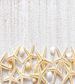 Sea Shells on Timber artwork