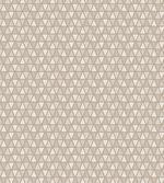 Abstract Neutral Triangle