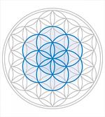 Oval Knot