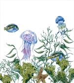 Seaweed Jellyfish Fish