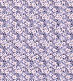 Exotic Flower Petals and Buds
