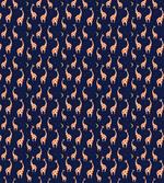 Funny Animals Night Sky