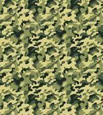 Pale Clothing Motif
