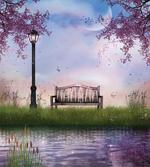 Bench Flowing River Moon