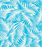 Exotic Miami Palms