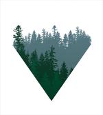 Coniferous Tree Design